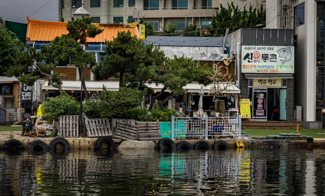 a body of water with buildings along it