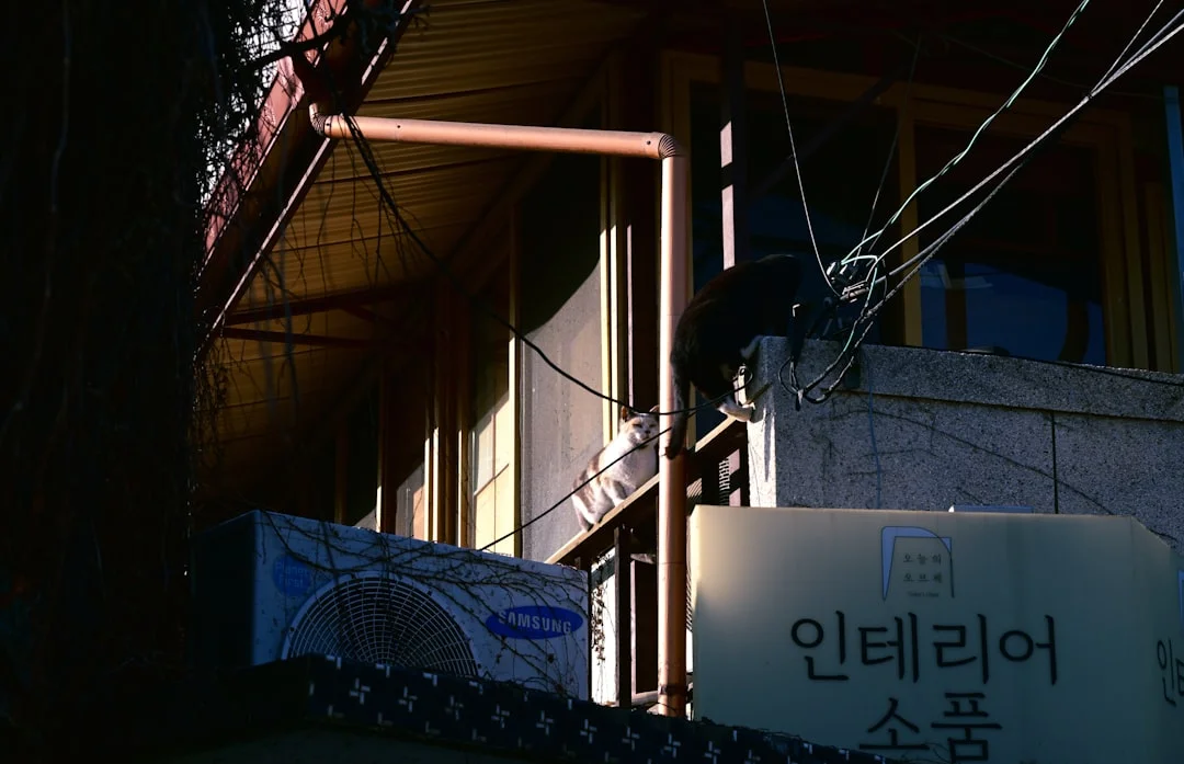 Building exterior with korean signage and wires