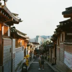 person walking on pathwa