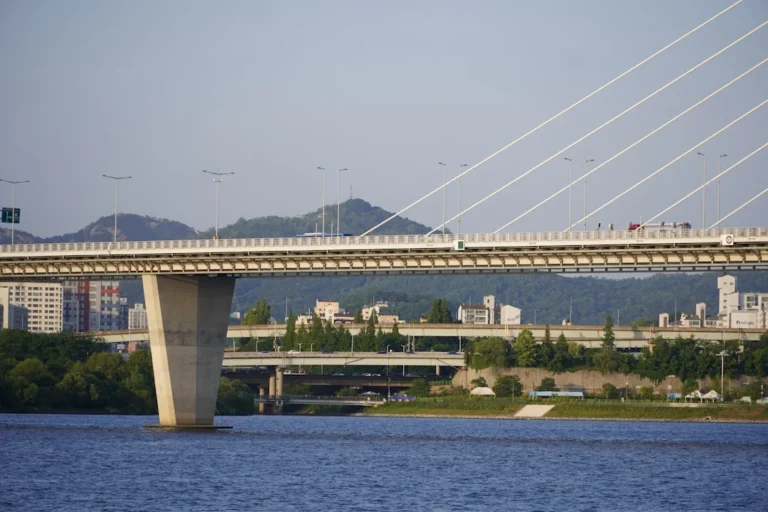 a bridge over a body of water with a city in the background