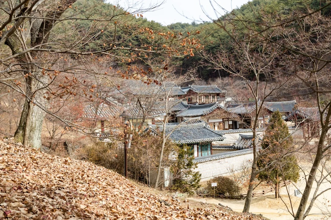 A view of a small village in the woods