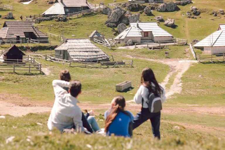 a group of people sitting on top of a lush green hillside