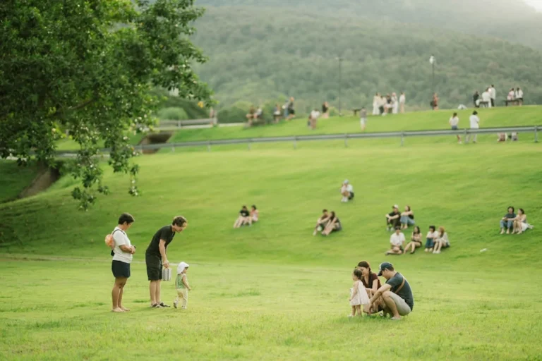 People enjoying a sunny day in a grassy park.