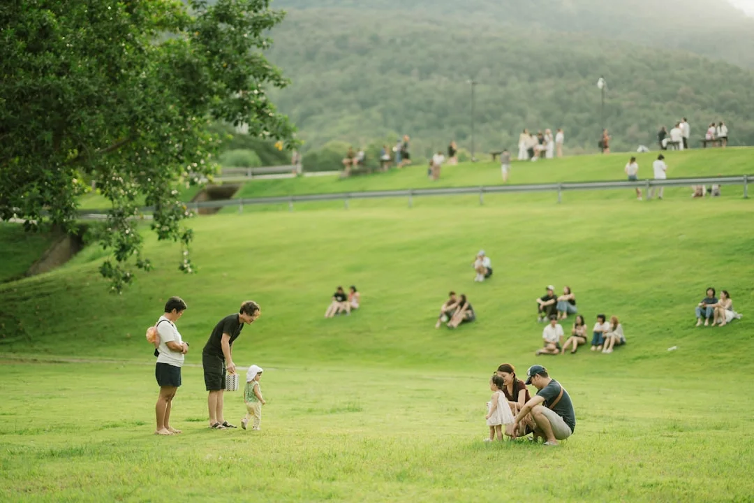 People enjoying a sunny day in a grassy park.