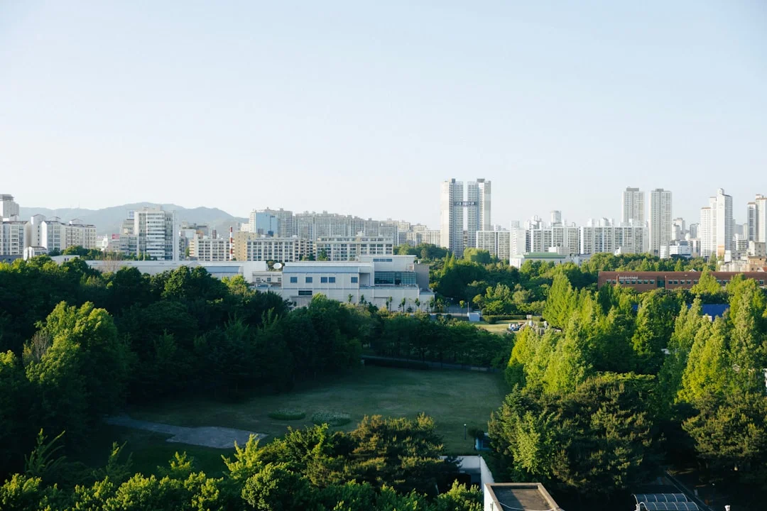 A view of a city from a hill