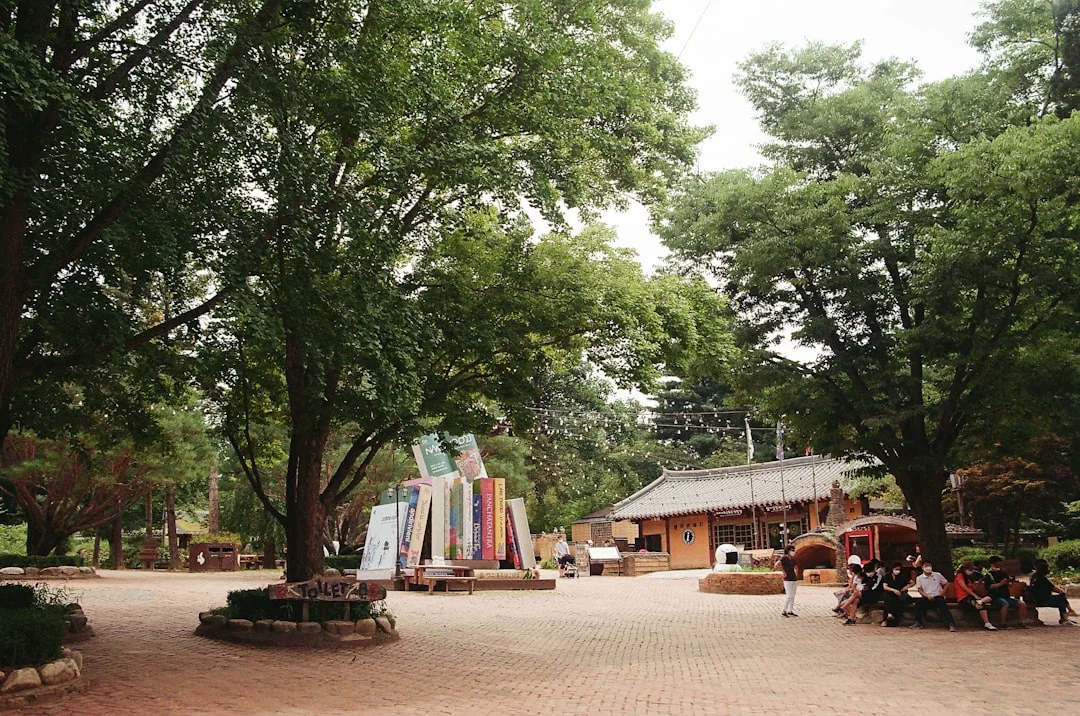 people sitting on chairs near green trees during daytime