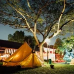 a group of tents set up under a tree
