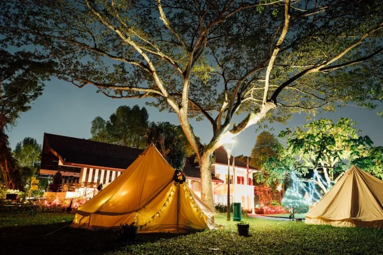 a group of tents set up under a tree