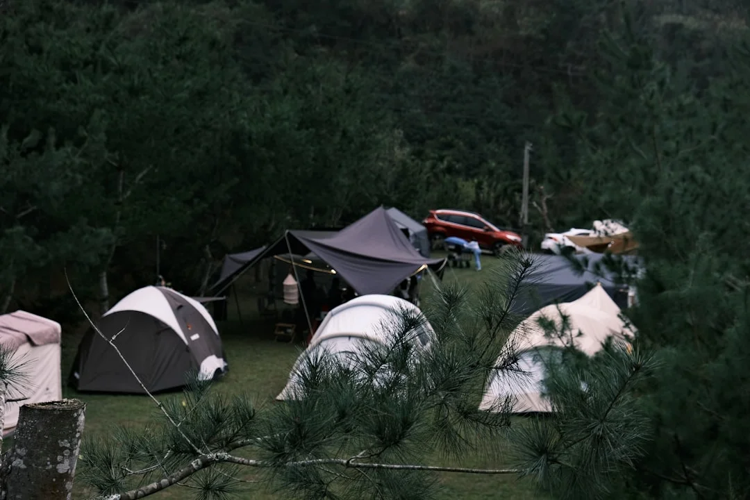 Several tents and a car set up at a campsite.