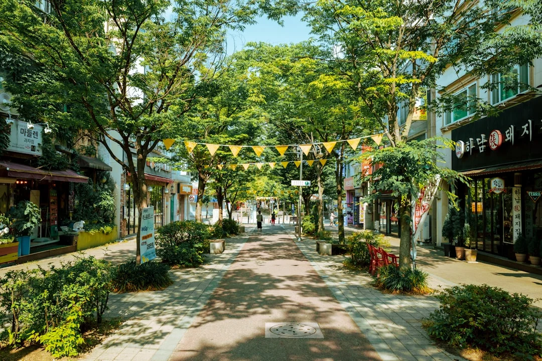 A tree-lined street with shops and businesses.