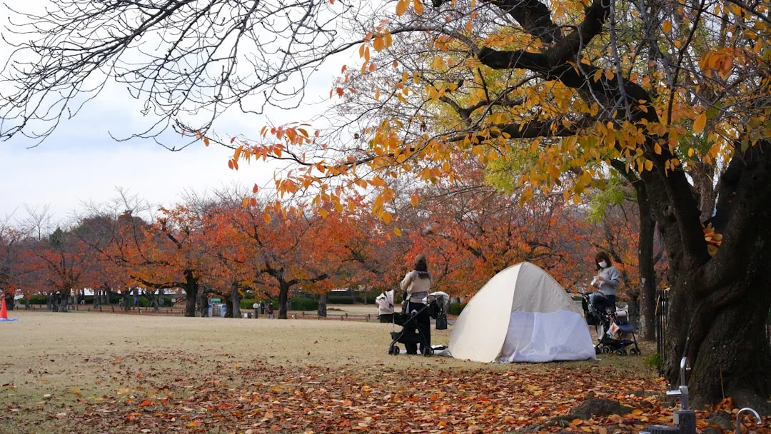 People camping in a park with autumn leaves